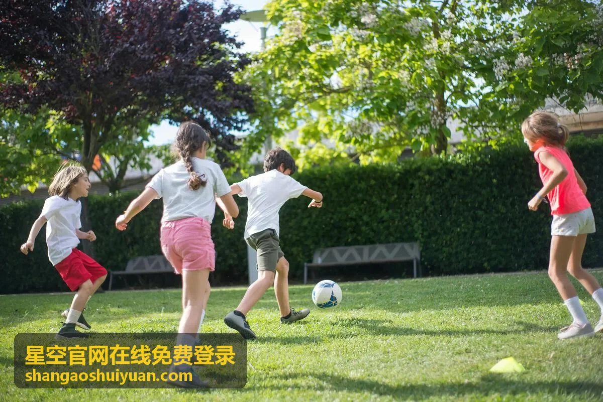 星空官网在线免费登录账号中心入口界面示意