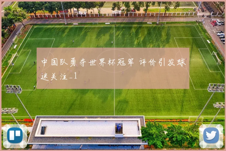 中国队勇夺世界杯冠军 评价引发球迷关注_1
