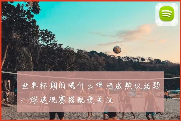 世界杯期间喝什么啤酒成热议话题，球迷观赛搭配受关注