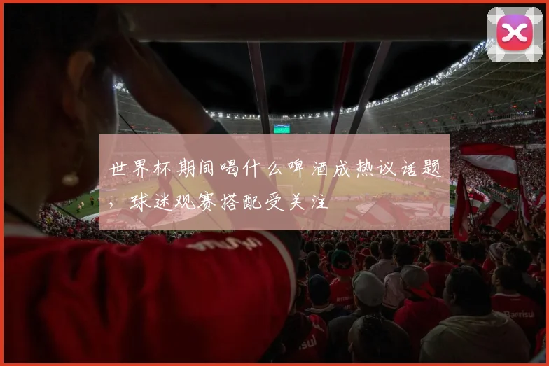 世界杯期间喝什么啤酒成热议话题,球迷观赛搭配受关注