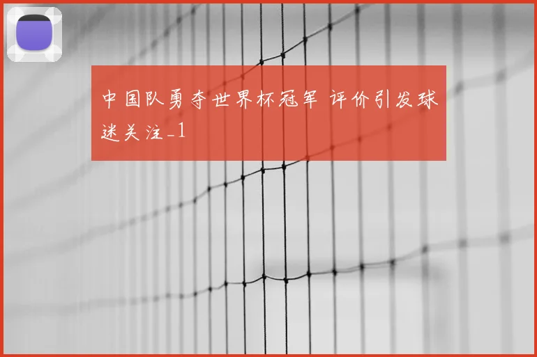 中国队勇夺世界杯冠军 评价引发球迷关注_1